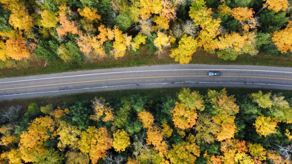 Aerial view of Shaw Woods forest in autumn colours alongside Bulger Road